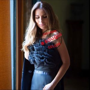 NWT Zara Tulle crop top.